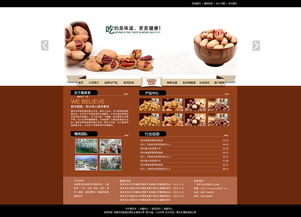 網(wǎng)站與網(wǎng)頁(yè)設(shè)計(jì) 構(gòu)建數(shù)字世界的藝術(shù)與科學(xué)