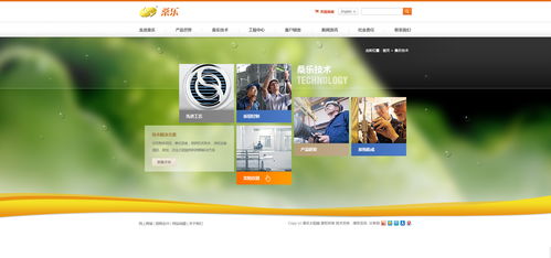 智能家居新視窗 優(yōu)秀家用電器企業(yè)網(wǎng)站設(shè)計(jì)賞析
